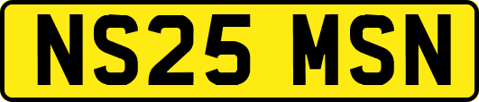 NS25MSN