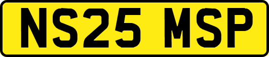 NS25MSP