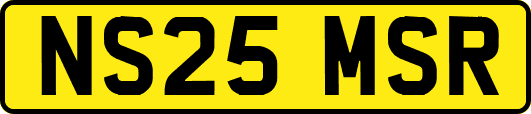 NS25MSR