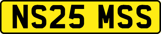 NS25MSS