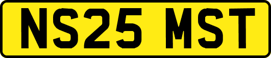 NS25MST