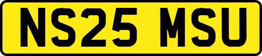 NS25MSU