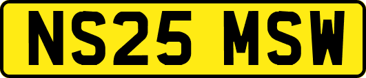 NS25MSW