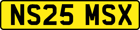 NS25MSX