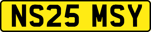 NS25MSY