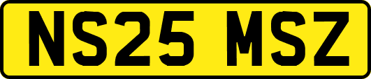 NS25MSZ