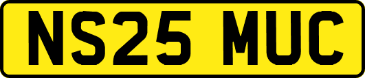 NS25MUC