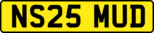 NS25MUD