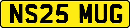 NS25MUG