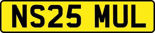 NS25MUL