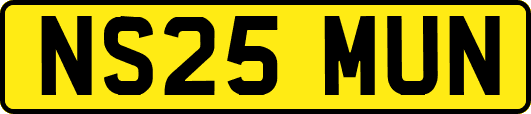 NS25MUN
