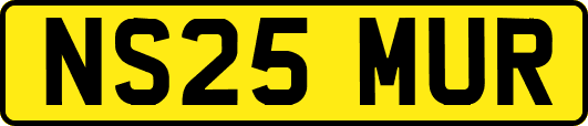 NS25MUR