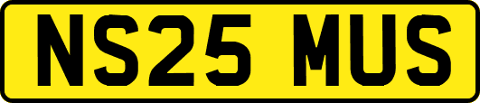 NS25MUS