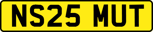 NS25MUT