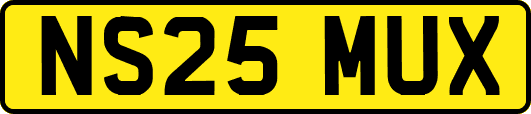 NS25MUX