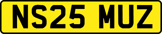 NS25MUZ