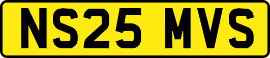 NS25MVS