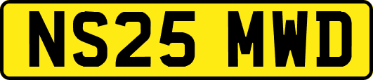 NS25MWD