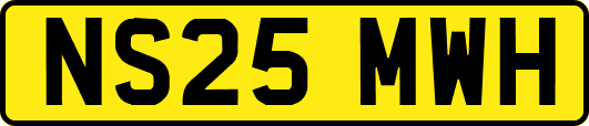 NS25MWH