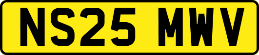 NS25MWV