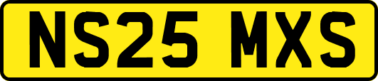 NS25MXS