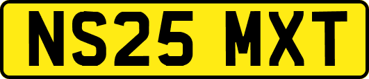 NS25MXT