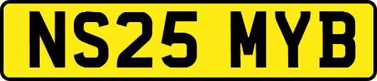 NS25MYB