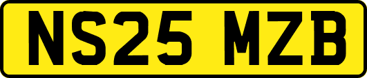 NS25MZB