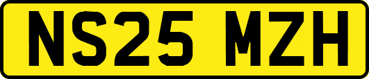 NS25MZH