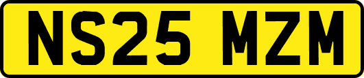 NS25MZM