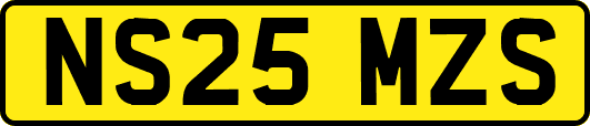 NS25MZS