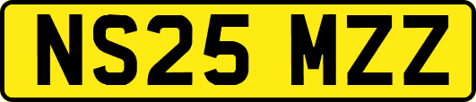 NS25MZZ