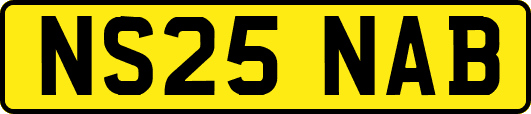 NS25NAB