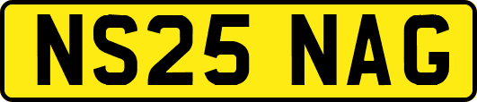 NS25NAG