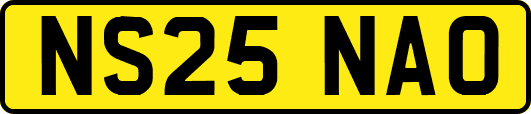 NS25NAO