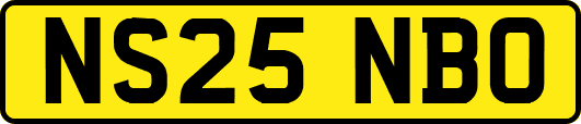 NS25NBO
