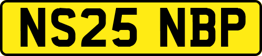 NS25NBP
