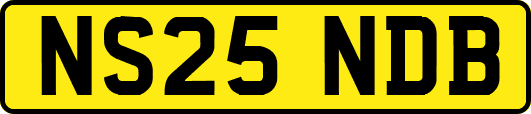 NS25NDB