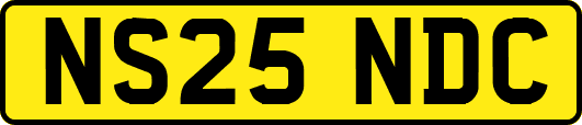 NS25NDC
