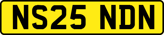 NS25NDN