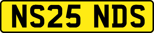 NS25NDS