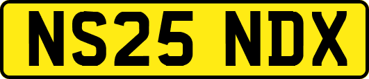 NS25NDX