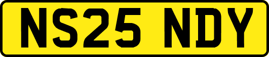 NS25NDY