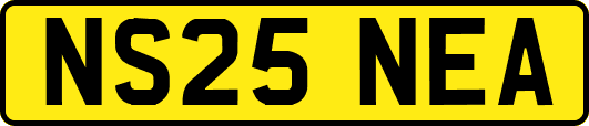 NS25NEA