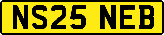 NS25NEB