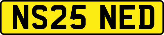 NS25NED