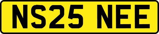 NS25NEE