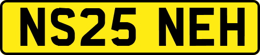 NS25NEH