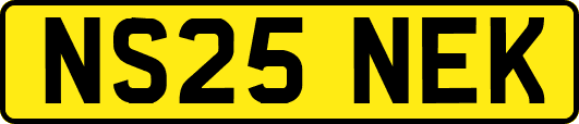 NS25NEK