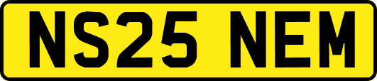 NS25NEM